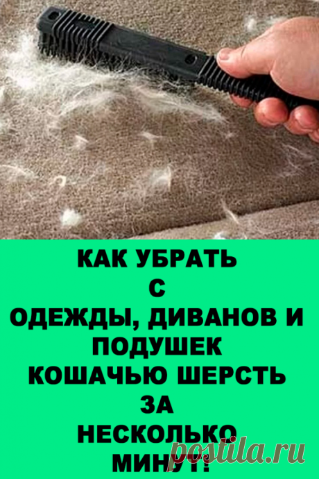 КАК УБРАТЬ С ОДЕЖДЫ, ДИВАНОВ И ПОДУШЕК КОШАЧЬЮ ШЕРСТЬ ЗА НЕСКОЛЬКО МИНУТ — Женские Советы