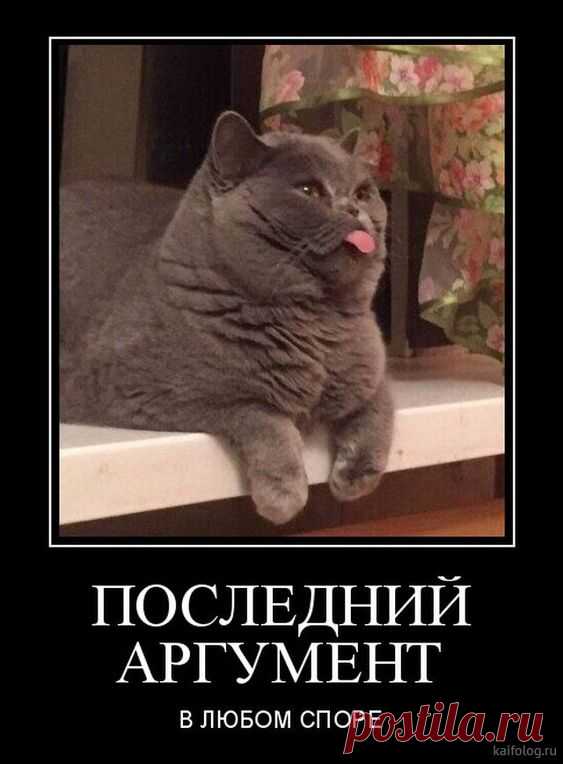 Смешные демотиваторы за неделю. Новая подборка лучших демотиваторов