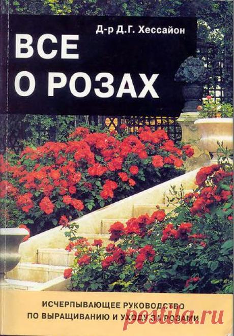 Всё о розах.