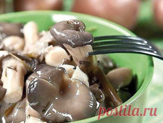 МАРИНОВАННЫЕ ВЕШЕНКИ (ОЧЕНЬ БЫСТРО) И ВКУСНО
Ингредиенты:
500 гр вешенок
50 гр растительного масла
1 ст л уксуса 9%
2 ч л соли
Сок половинки лимона
5-7 зубчиков чеснока
Лавровый лист, перец горошком, 2-3 гвоздики
1 луковица
Приблизительно 1 стакан воды
Рецепт приготовления:
В кастрюльку налить воды. Добавить масло, чеснок (пропустить через чеснокодавку), уксус, сок лимона, соль, гвоздику, пере
