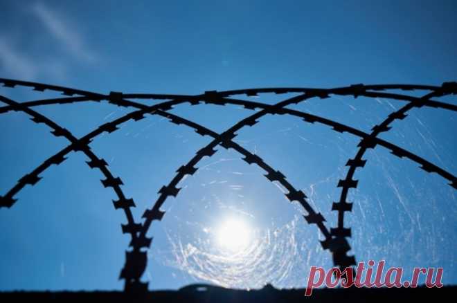 ФСИН опровергла информацию о бунтах в двух московских СИЗО. В ведомстве отметили, что сообщения не соответствуют действительности.