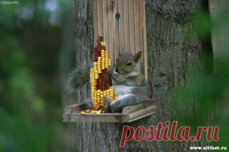 Назовите картинку...