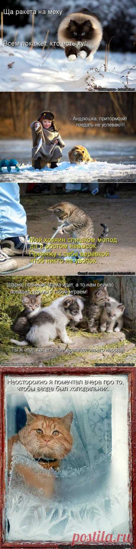 Чем бы дитя не тешилось (котоматрица)