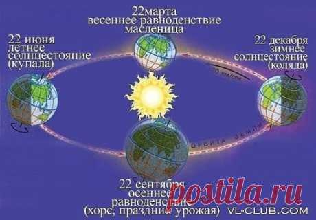 (5) Одноклассники