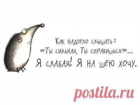 (49) Одноклассники