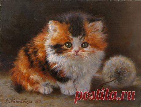 Коти і котячі