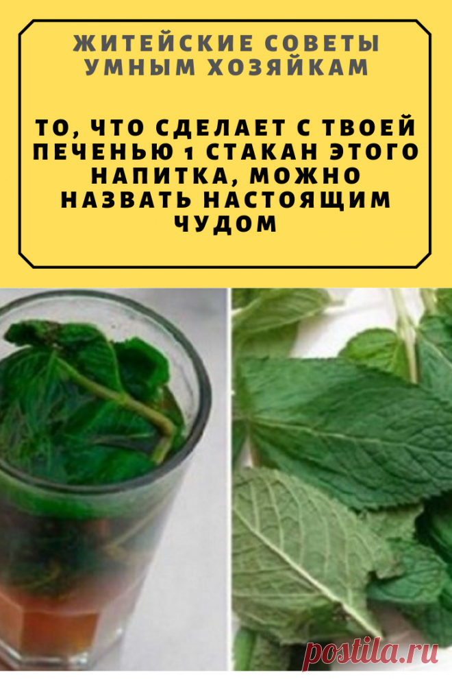 То, что сделает с твоей печенью 1 стакан этого напитка, можно назвать настоящим чудом | Житейские Советы
