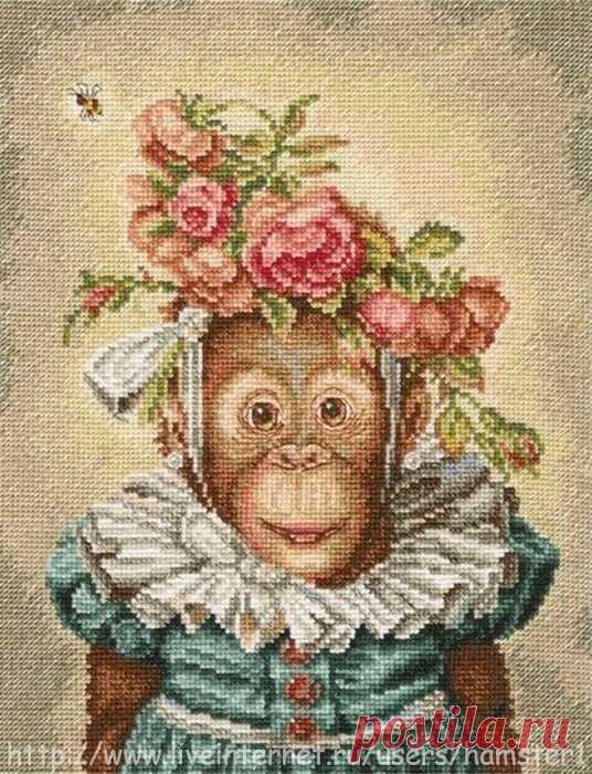 Без заголовка