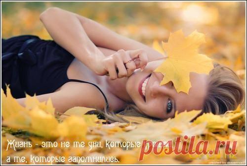 мудрые высказывания в картинках - Поиск в Google