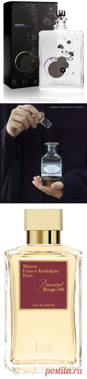 Так пахнет дорогая женщина. 4 аромата со шлейфом богатства, которые не носят все подряд | Торшина - путешественница | Яндекс Дзен