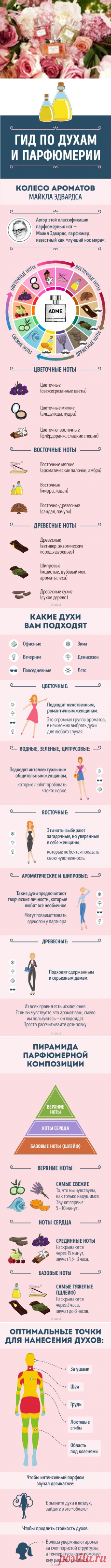 Для тех кто хочет разбираться в духах