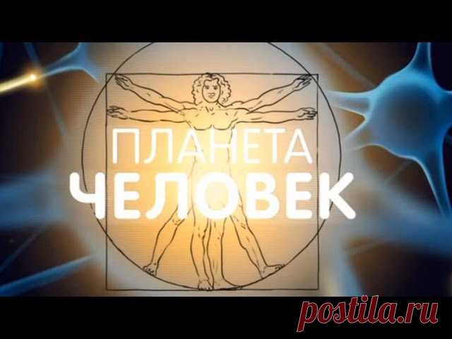 ПЛАНЕТА ЧЕЛОВЕК. КАК УСТРОЕН ЧЕЛОВЕК.

Интерактивный развивающий мультфильм даст представление ребенку о строении тела человека и органах чувств наглядно отвечает на вопросы малышей. Мультфильм познакомит ребенка с частями и внутренними органами человека, дать первоначальное представление о работе внутренних органов. В видио простым и понятным для ребенка языком освещены такие темы:

1. Органы человека
2. Пищеварительная система
3. Кровеносная система
4. Дыхательная систем...