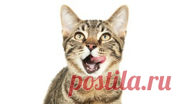 Входящие - struchienok40@mail.ru - Почта Mail.Ru