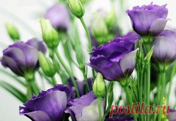 (9) Мой Мир@Mail.Ru