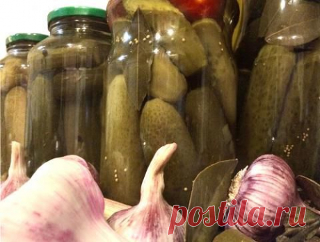 МОИ «СОЛЕНЫЕ» И МАРИНОВАННЫЕ ОГУРЦЫ | 4vkusa.ru