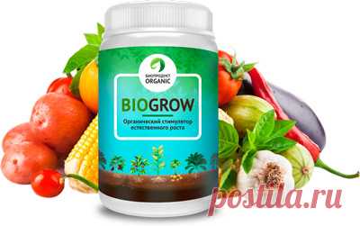 После применения биоудобрения «Biogrow» на дачном участке не знали, куда девать овощи. Урожайность повысилась в разы!