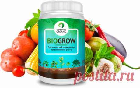 После применения биоудобрения «Biogrow» на дачном участке не знали, куда девать овощи. Урожайность повысилась в разы!