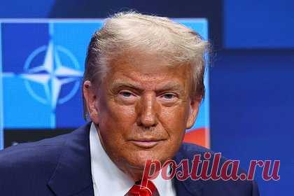 Трамп дал клятву странам НАТО относительно России. Что пообещал президент США?