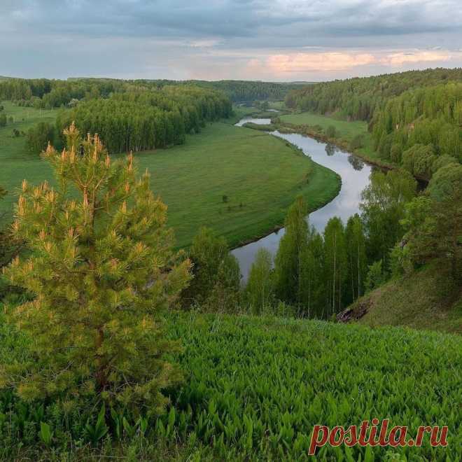 Зелёные берега реки Немда.
Кировская область. 📷 e.karepanov