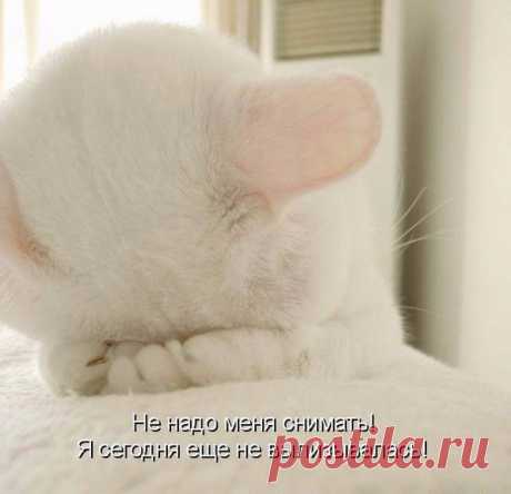 Мысли вслух