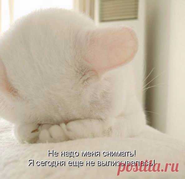 Мысли вслух