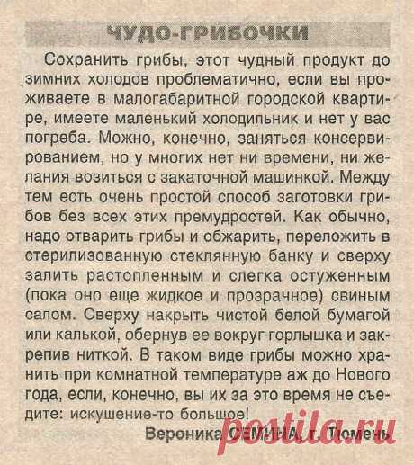 Чудо-грибочки