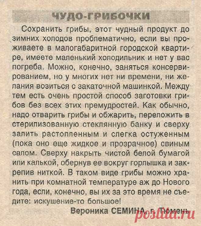 Чудо-грибочки