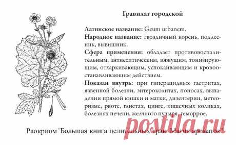Гравилат городской