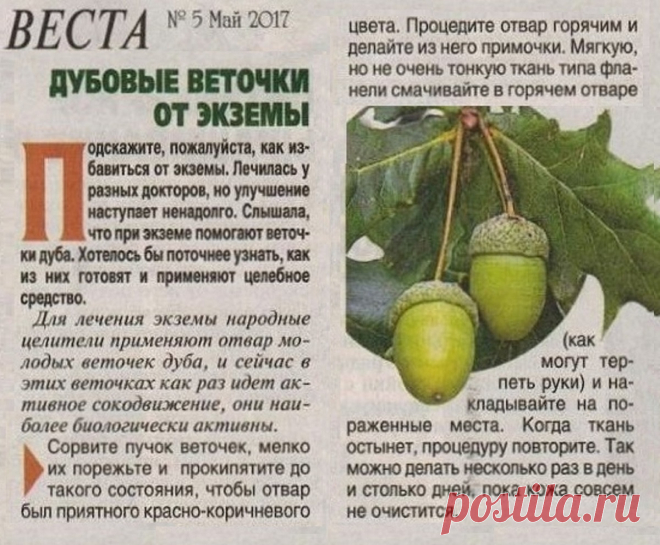 Дубове веточки от экземы