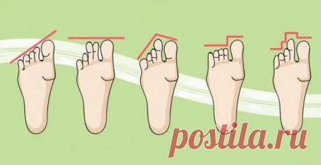 Что пальцы на ногах могут рассказать о вашей личности? - Сонники, гороскопы, гадания
                                             - 13 декабря
                                             - 43668083873 - Медиаплатформа МирТесен Осознаете ли вы, как много о вас может рассказать форма Ваших ног? Обычно мы не обращаем внимания на эту часть тела, а ведь они могут многое рассказать о скрытых аспектах вашей личности.Вариант № 1 Самый длинный большой палец, а остальные пальцы, ра...