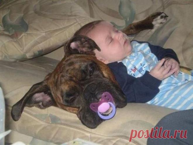 Highest Paying Media Site on the Web!