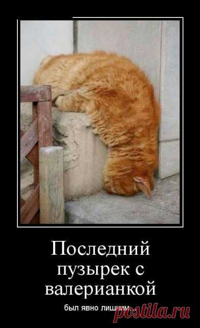такие дети! )) | Крутой облом