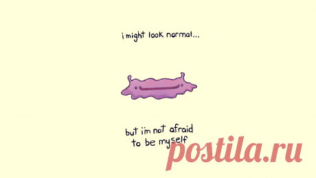 Фоновый рисунок так же обычный покемон белый