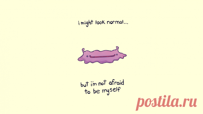 Фоновый рисунок так же обычный покемон белый