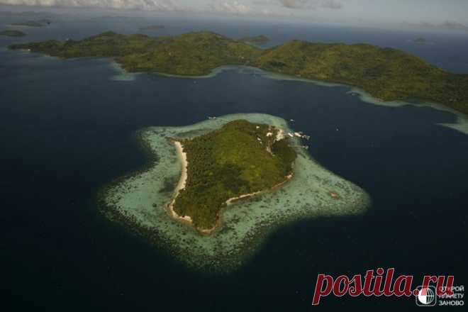 Золотой жемчуг На острове Палаван на юго-западе Филиппин, живет единственный человек в мире, который раскрыл секрет производства редкого вида драгоценностей– золотого жемчуга. К натуральным хрупким жемчужинам относятся как к королевским украшениям. Каждой устрице требуется 5 лет, чтобы произвести одну...