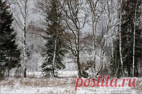 Пейзаж. Природа, ч.14 – Блог. Run, пользователь Марина Николаева | Группы Мой Мир