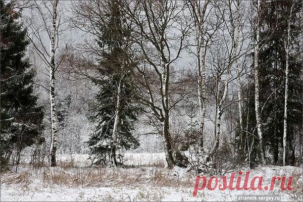 Пейзаж. Природа, ч.14 – Блог. Run, пользователь Марина Николаева | Группы Мой Мир