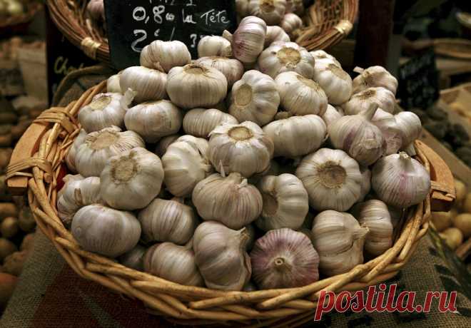 Необычное варенье: готовим зимнее лакомство из неожиданных продуктов