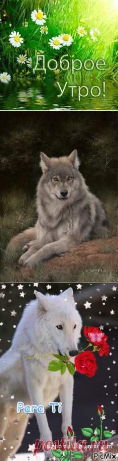 (303) Pinterest