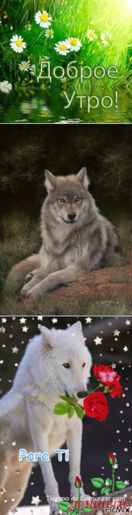(303) Pinterest
