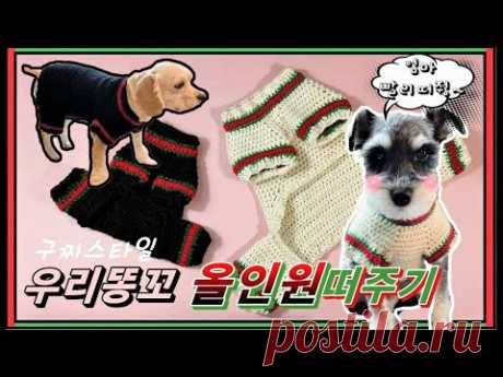 (코바늘)강아지 GUCCI 올인원스웨터 만들기/How to make a dog all-in-one sweater/dog gucci sweater