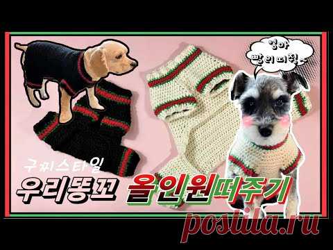 (코바늘)강아지 GUCCI 올인원스웨터 만들기/How to make a dog all-in-one sweater/dog gucci sweater