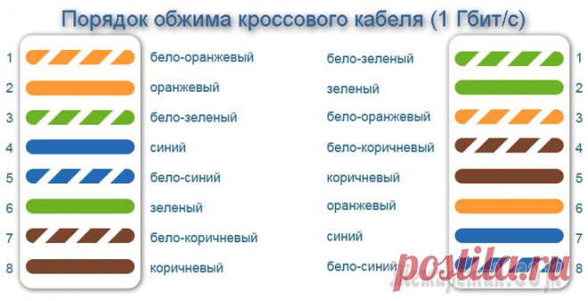 Витая пара: способы обжима, схема соединений