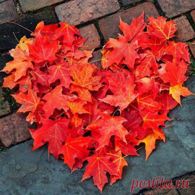 Любимое время года 🍁🍂