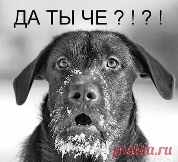 чуть позитивчика