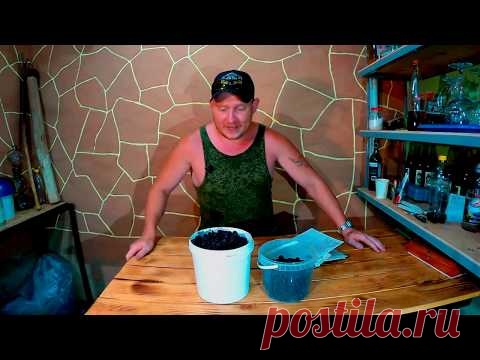 домашнее вино из ежевики2020ч1 - YouTube