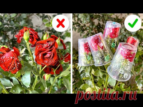 Проверенные советы по садоводству, которые действительно работают 🌿🌹