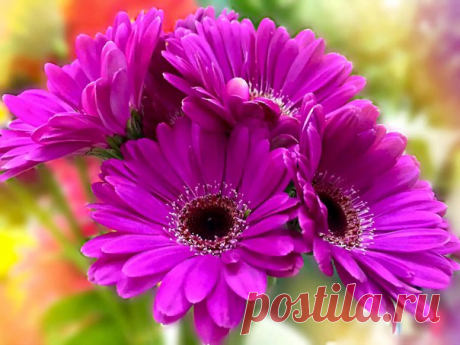 С Добрым утром! Будьте здоровы и счастливы! ❤