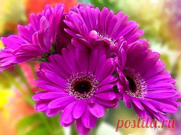 С Добрым утром! Будьте здоровы и счастливы! ❤