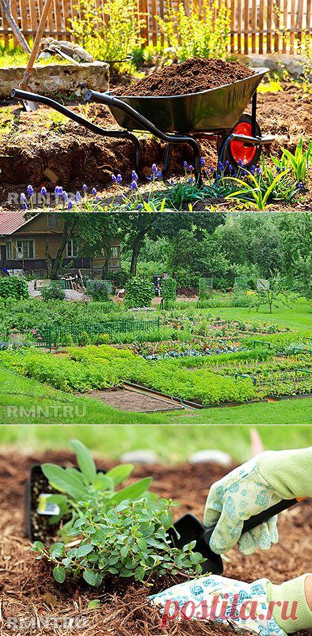 Органическое земледелие. Как заложить «умные» грядки RMNT.RU